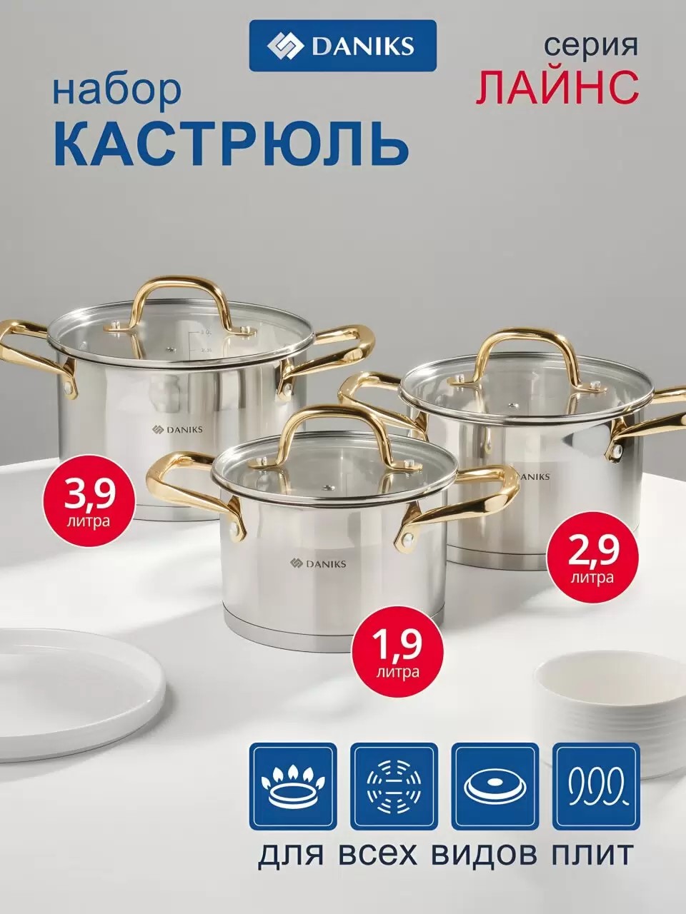 Набор посуды нержавеющая сталь, 6 предметов, индукция, Daniks, Лайнс