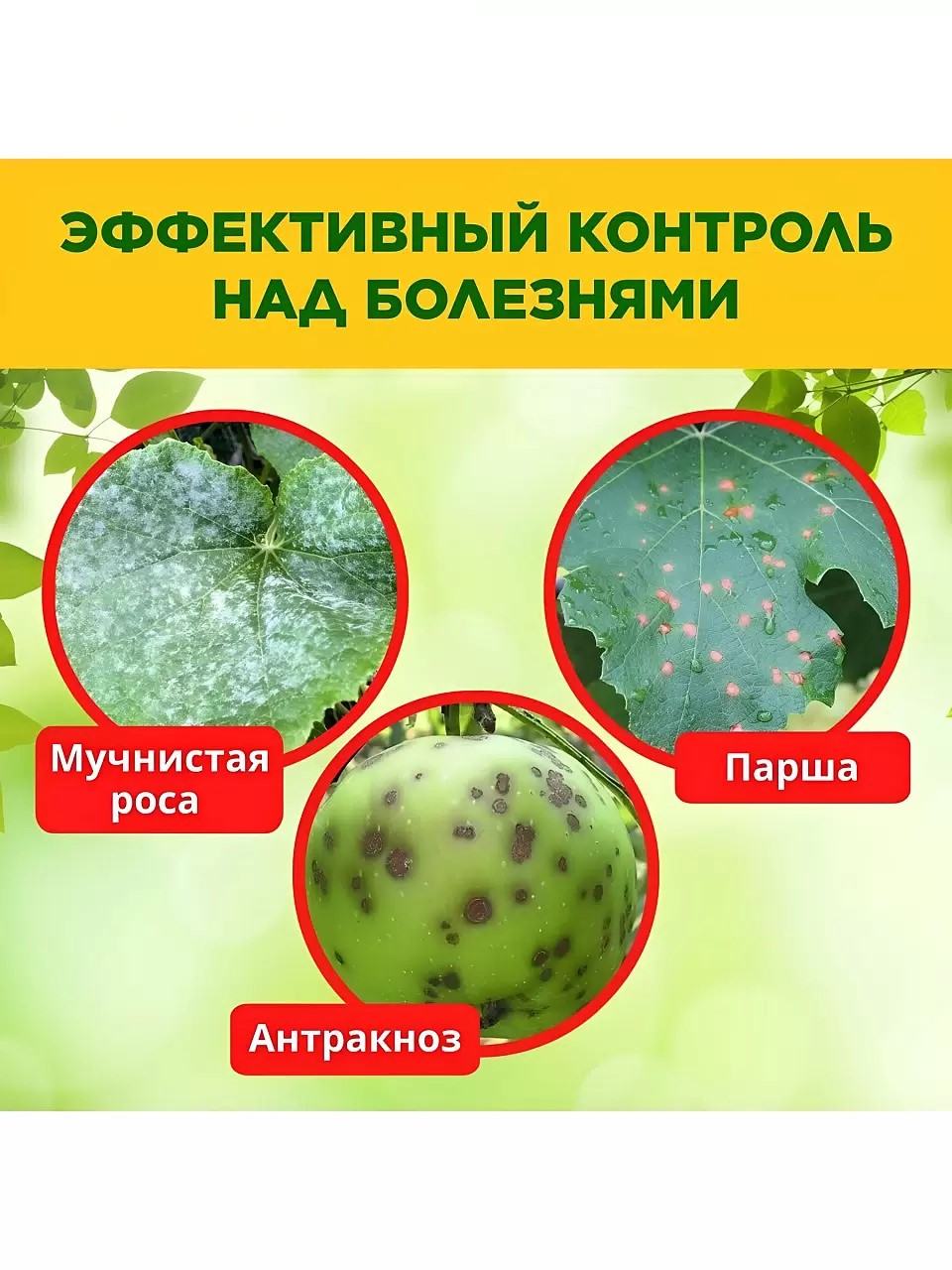 Фунгицид Серное мыло, 350 мл, жидкость, БиоМастер — изображение 2